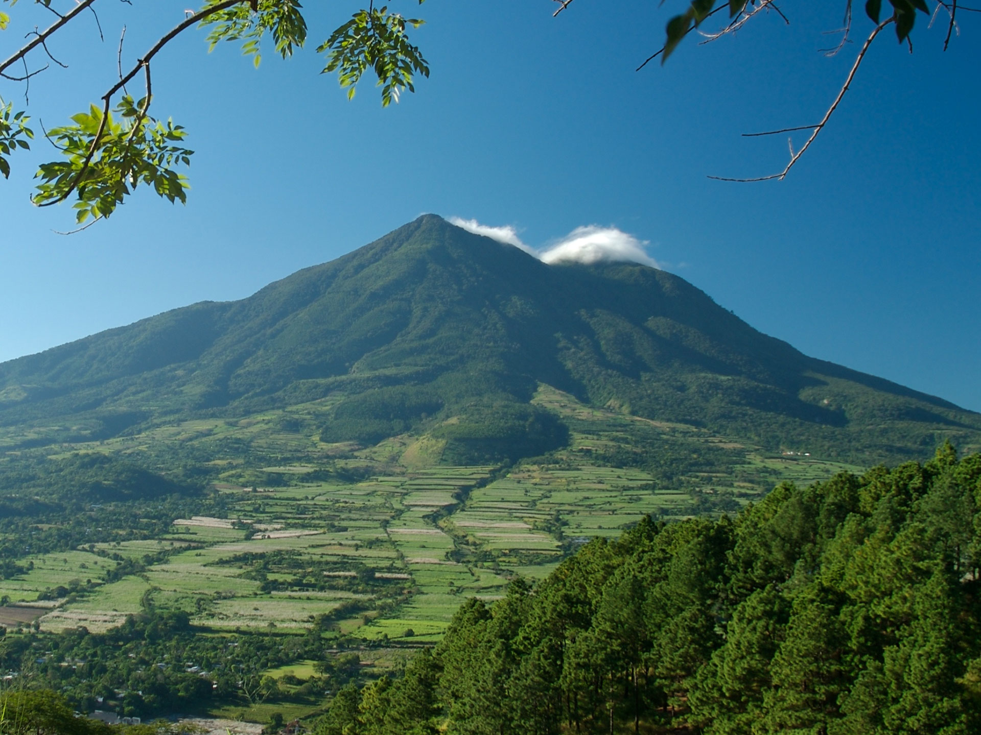 Budin el salvador